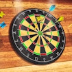 Dart Pro flerspiller